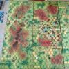 Battaglia in corso