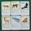 Carte Animale