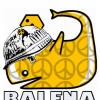 Balena Ludens  Num. 2024-WG